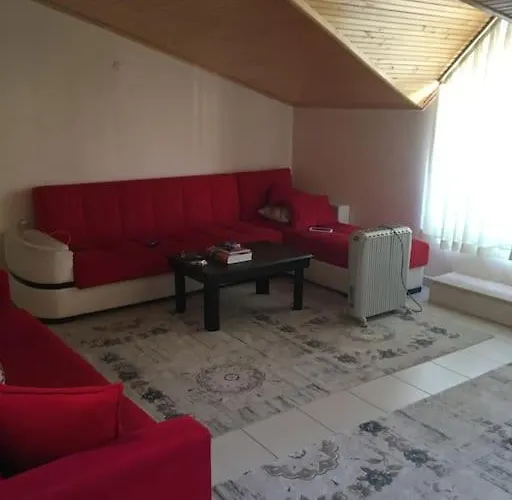 Woodengate * 페티예